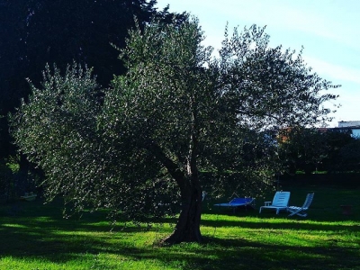 Titolo-1450